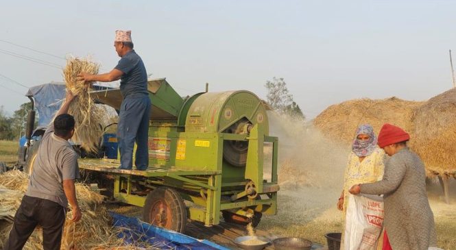 दाङका किसान खेतीमा यन्त्रको प्रयोग बढाउँदै