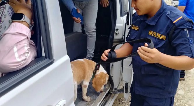 बबईमा कुकुरबाट लागू औषधको चेकजाँच