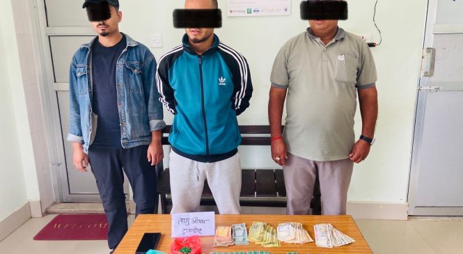 लागुऔषधसहित तीन जना पक्राउ