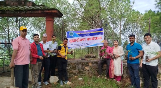 लायन्स क्लबद्वारा वृक्षारोपण