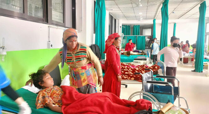 एउटै कुकुरले टोकेपछि १४ जना अस्पताल भर्ना