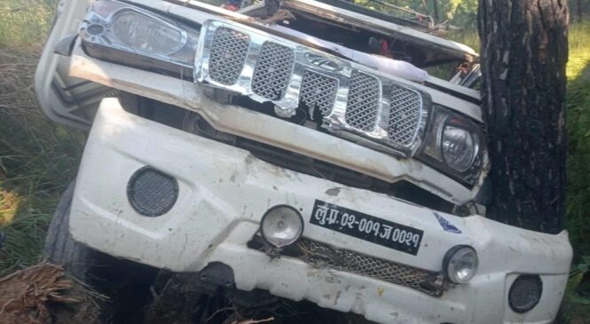 सल्यानमा जन्ती बोकेको जीप दुर्घटना, दुलाहा–दुलहीसहित १२ जना घाइते